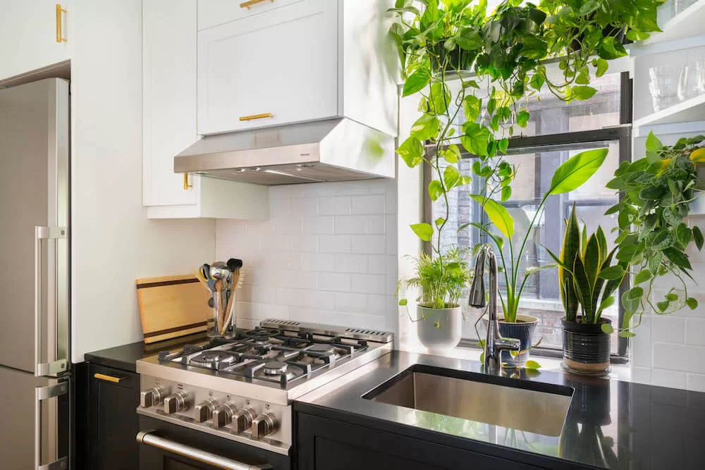 2025 Miami Kitchen Remodel: Budget & Cost Factors